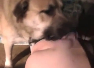 Big-boobed blonde and dog have nice sex
