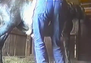 The weird dick of this horse gets jerked off by a zoophile