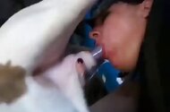 Amateur animal porn
