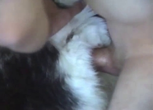 This sheep is banged passionately from behind