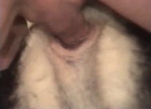 This sheep is banged passionately from behind