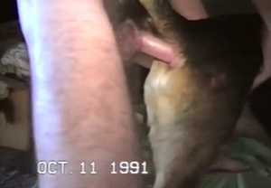 Young man is trying to penetrate his lovely doggy