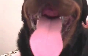 Dog cock is what this filthy hoe likes