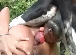 The cock of a beast is having sexual fun with a Latina