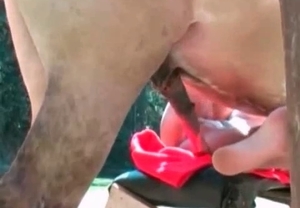 Close up video shows us some amazing bestial sex