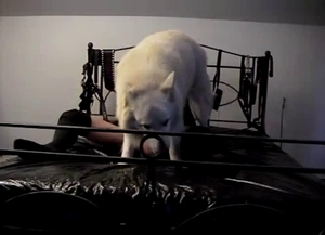 White hunter plays with a slender zoophile