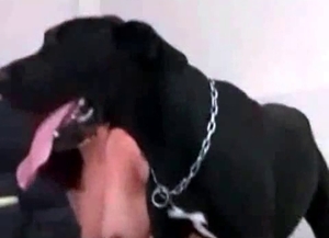 Black dog fucking its kinky slave