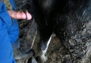 Farmer is having a gorgeous action
