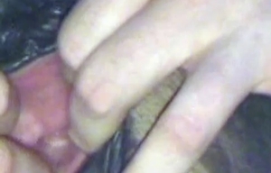 Awesome rimjob for a lustful horse