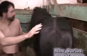 Dirty farmer sucking stallion dick