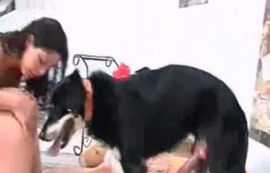 Hot ladies are sharing a big dog