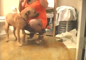 Dog's nice dick sliding into a sissy's asshole