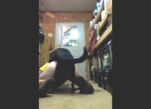 Hard fuck with a black dog taking that tight hole