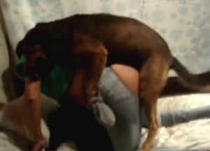 Hot humping with an amateur who loves dog D