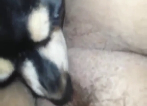 Close-up fucking with a dog, dildo, and beyond