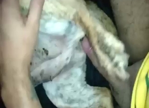 Dude is going to use that penis to fuck a dog