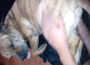 Dude is going to use that penis to fuck a dog