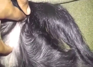 Black dog is going to get pussy-fingered real fast