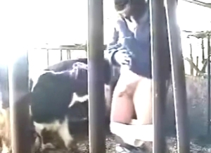 Calf blowjob scene with plenty of orgasmic lust